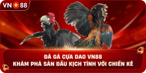 Đá Gà VN88 – Khám Phá Không Gian Giải Trí Trực Tuyến Hấp Dẫn - PLAY429.BUZZ