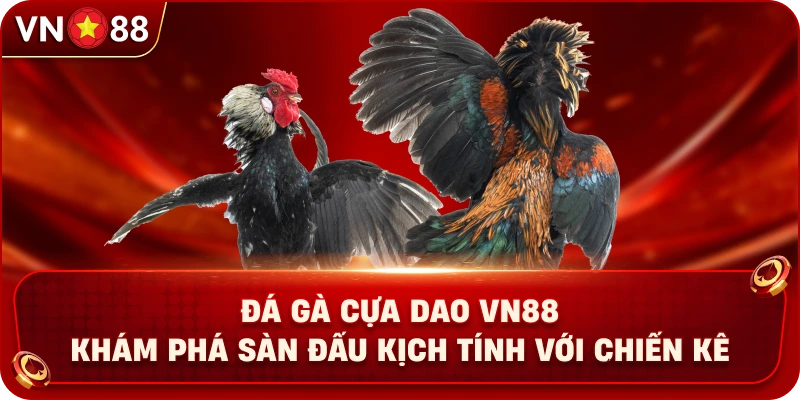 Đá Gà Cựa Dao VN88 – Khám Phá Sàn Đấu Kịch Tính Với Chiến Kê - PLAY429.BUZZ
