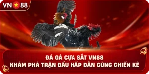 Đá Gà VN88 – Khám Phá Không Gian Giải Trí Trực Tuyến Hấp Dẫn - PLAY429.BUZZ