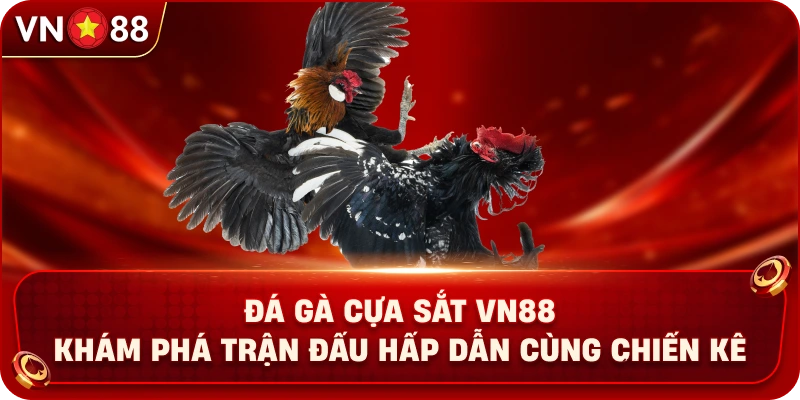 Đá Gà Cựa Sắt VN88 – Khám Phá Trận Đấu Hấp Dẫn Cùng Chiến Kê - PLAY429.BUZZ