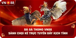 Đá Gà VN88 – Khám Phá Không Gian Giải Trí Trực Tuyến Hấp Dẫn - PLAY429.BUZZ