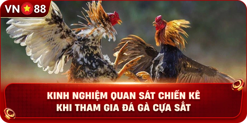 Đá Gà Cựa Sắt VN88 – Khám Phá Trận Đấu Hấp Dẫn Cùng Chiến Kê - PLAY429.BUZZ