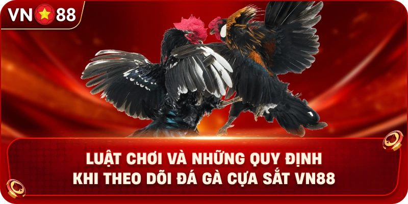 Đá Gà Cựa Sắt VN88 – Khám Phá Trận Đấu Hấp Dẫn Cùng Chiến Kê - PLAY429.BUZZ