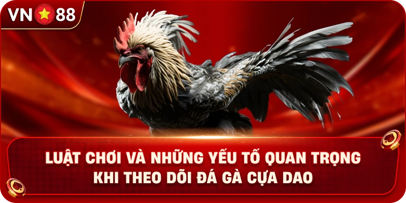 Đá Gà Cựa Dao VN88 – Khám Phá Sàn Đấu Kịch Tính Với Chiến Kê - PLAY429.BUZZ