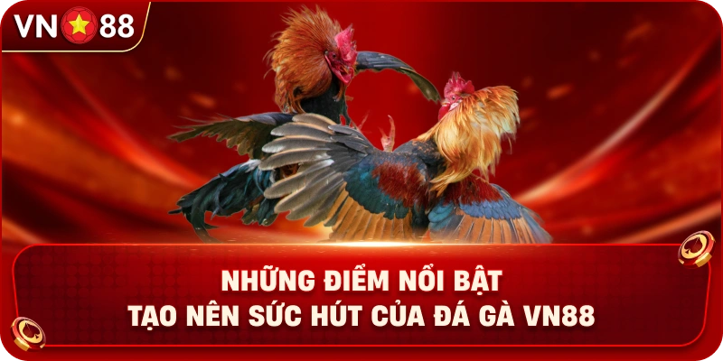 Đá Gà VN88 – Khám Phá Không Gian Giải Trí Trực Tuyến Hấp Dẫn - PLAY429.BUZZ