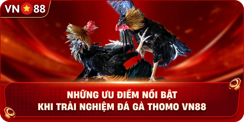 Đá Gà Thomo VN88 – Sảnh Chọi Kê Trực Tuyến Đầy Kịch Tính - PLAY429.BUZZ
