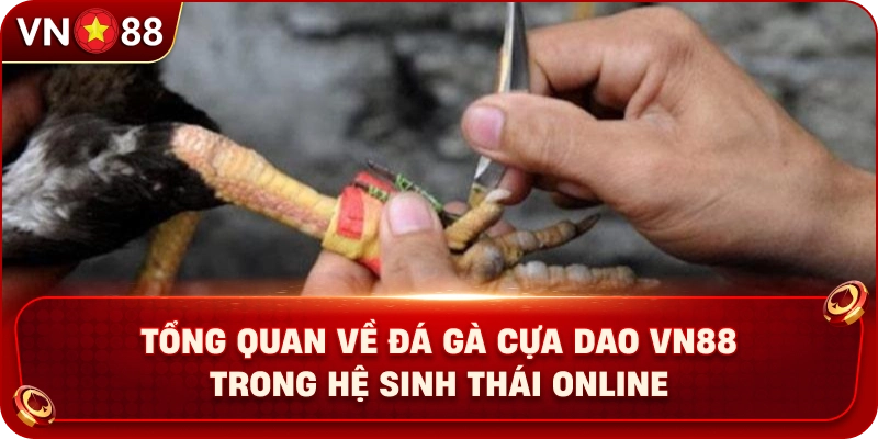 Đá Gà Cựa Dao VN88 – Khám Phá Sàn Đấu Kịch Tính Với Chiến Kê - PLAY429.BUZZ