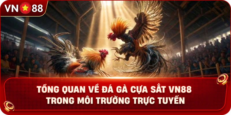 Đá Gà Cựa Sắt VN88 – Khám Phá Trận Đấu Hấp Dẫn Cùng Chiến Kê - PLAY429.BUZZ