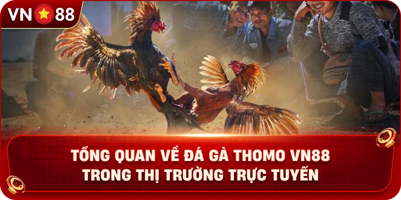 Đá Gà Thomo VN88 – Sảnh Chọi Kê Trực Tuyến Đầy Kịch Tính - PLAY429.BUZZ